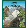 A Day on the Mountain - Paperback