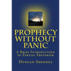 Prophecy Without Panic: A Brief Introduction to Partial Preterism - Paperback
