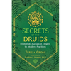 Secrets of the Druids: From Indo-European Origins to Modern Practices - Paperback