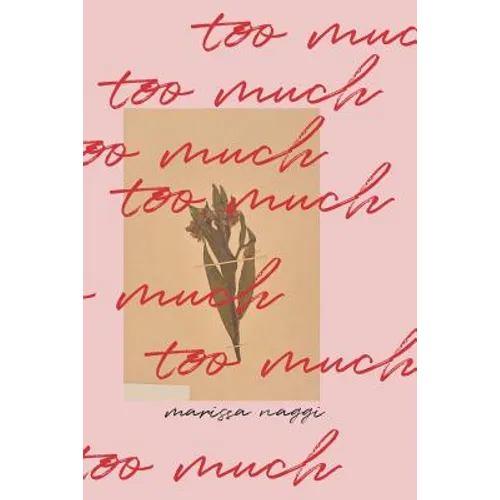 Too Much - Paperback