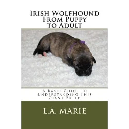 Irish Wolfhound From Puppy to Adult: A Basic Guide to Understanding This Giant Breed - Paperback