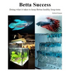 Betta Success: Doing what it takes to keep Bettas healthy long-term - Paperback