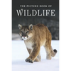 The Picture Book of Wildlife: A Gift Book for Alzheimer's Patients and Seniors with Dementia - Paperback
