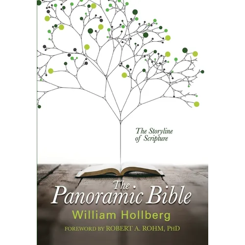 The Panoramic Bible: The Storyline of Scripture - Paperback