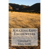 Amazing God Encounters: Amazing Stories of God's Intervention - Paperback