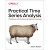 Practical Time Series Analysis: Prediction with Statistics and Machine Learning - Paperback