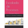 Escalado de Procesos: Principios Básicos - Paperback