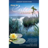 Legendary Teacher Stories: How to catch a swamp frog - Paperback