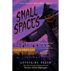 Small Spaces - Paperback