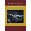 Five Theories on the Fitz: And What They Reveal about the Politics of Disaster - Paperback