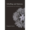 Schelling and Spinoza: Realism, Idealism, and the Absolute - Paperback