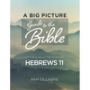 A Big Picture Guide to the Bible: A Flexible Inductive Study of Hebrews 11 - Paperback