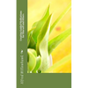 Creating Guided Meditations for Yourself and Others - Paperback