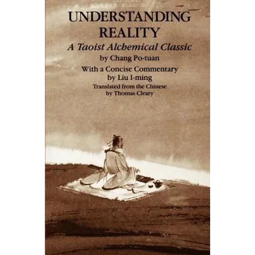 Understanding Reality - Paperback