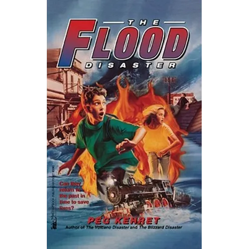 The Flood Disaster - Paperback