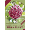 Hoya plant: Plant Guide - Paperback
