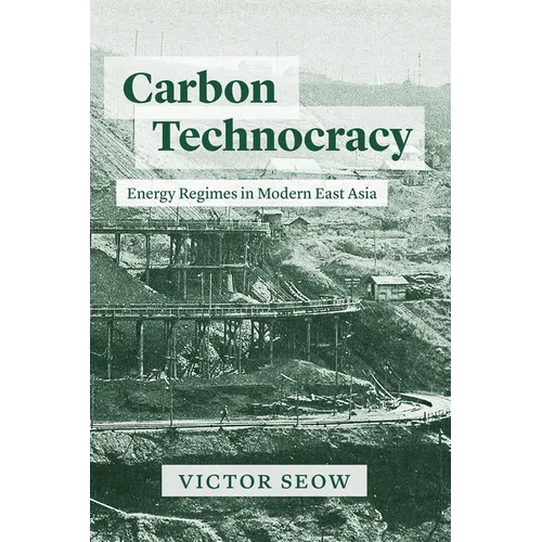 Carbon Technocracy: Energy Regimes in Modern East Asia - Paperback