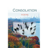 Consolation; Poems - Paperback