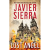 The Lost Angel - Paperback