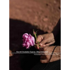 Eco Art Incubator Cyprus: Sites Embodied: Curriculum, Catalogue, Contemplations - Paperback