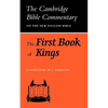 The First Book of Kings - Paperback