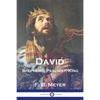 David: Shepherd, Psalmist, King - Paperback