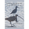 Close Encounters of the Bird Kind: Wild Birds in San Francisco and Other Places - Paperback