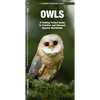 Owls: A Folding Pocket Guide to Familiar and Unusual Species Worldwide - Paperback