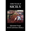 Little Novels of Sicily (Novelle Rusticane) - Hardcover