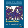 Brownian Motion - Hardcover
