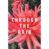 Through the Rain - Paperback