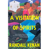 A Visitation of Spirits - Paperback