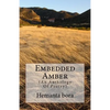 Embedded Amber: Soul- in Search of the Solace - Paperback