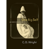 One Big Self - Paperback