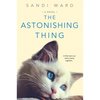 The Astonishing Thing - Paperback
