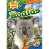 Koalas - Library Binding