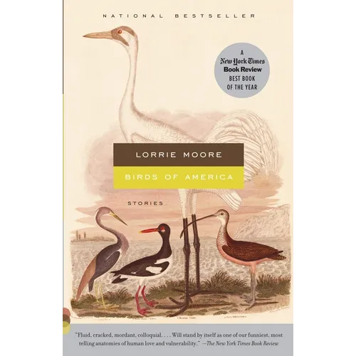Birds of America: Stories - Paperback