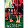 The Last Goodbye - Paperback