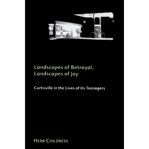 Landscapes of Betrayal, Landscapes of Joy: Curtisville in the Lives of its Teenagers - Paperback