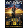 Divided We Fall: A Novel of the Coming Civil War in America - Paperback