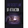 The Secret Law Of Attraction- How Much Do You Know About The Magic Of This Amazing Law-: The Law Of Attraction Book - Paperback