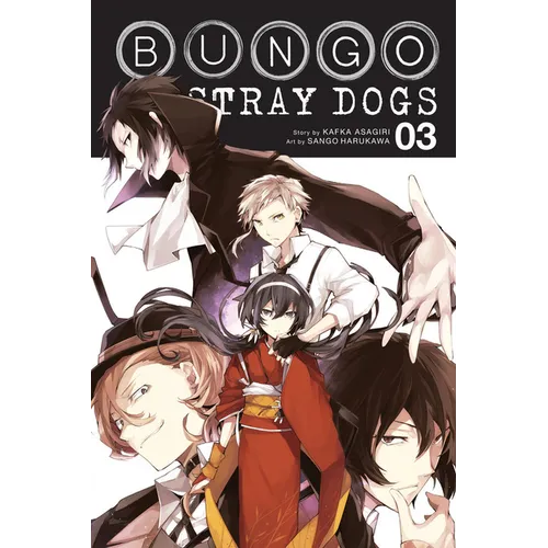Bungo Stray Dogs, Vol. 3 - Paperback