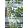 Ascendant: Modern Essays on Polytheism and Theology - Paperback