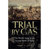 Trial by Gas: The British Army at the Second Battle of Ypres - Hardcover