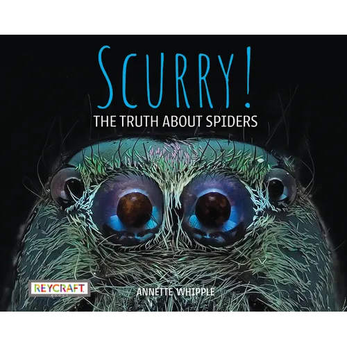 Scurry! the Truth about Spiders - Paperback