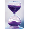 The Weight in the Wait: It's Not the Storm, It's How You Storm! - Paperback
