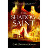 The Shadow Saint - Paperback