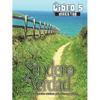 El Sendero de la Verdad, Libro 5 (Maestro): Material de Educación Cristiana para Jóvenes y Adultos - Paperback