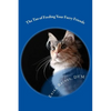 The Tao of Feeding Your Furry Friends: A holistic veterinarian's view on feeding your pets for vibrant health - Paperback