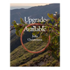 Upgrade Available - Paperback